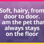 Soft, hairy, from door to door. I am the pet that always stays on the floor. What am I?