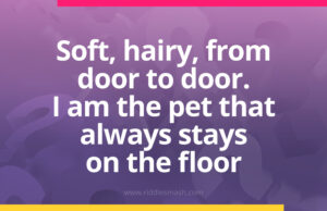 Soft, hairy, from door to door. I am the pet that always stays on the floor. What am I?