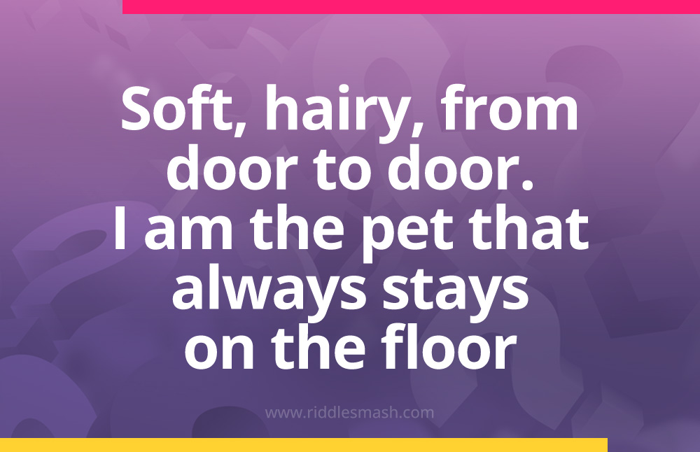 Soft, hairy, from door to door. I am the pet that always stays on the floor.
What am I?