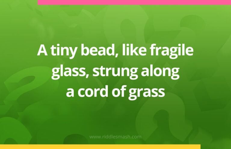 Magnifying Glass Riddles A tiny bead, like fragile glass - Riddle - Riddlesmash