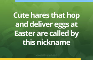 Cute hares that hop and deliver eggs at Easter are called by this nickname.