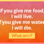 Give me food and I will live, give me water, and I will die.