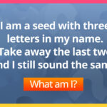 I am a seed with three letters in my name. Take away the last two and I still sound the same. What am I?