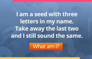 I am a seed with three letters in my name. Take away the last two and I still sound the same. What am I?