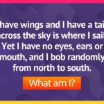 I have wings and I have a tail, across the sky is where I sail. Yet I have no eyes, ears or mouth, and I bob randomly from north to south. What am I?