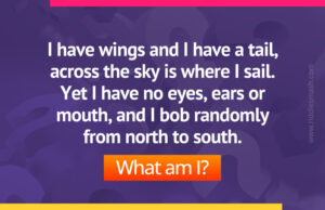 I have wings and I have a tail, across the sky is where I sail. Yet I have no eyes, ears or mouth, and I bob randomly from north to south. What am I?