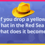 If you drop a yellow hat in the Red Sea what does it become?