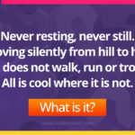 Never resting, never still. Moving silently from hill to hill. It does not walk, run or trot. All is cool where it is not. What is it?