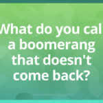 What do you call a boomerang that doesn't come back?