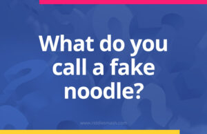 What do you call a fake noodle?