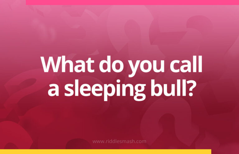 What do you call a sleeping bull? - Riddlesmash