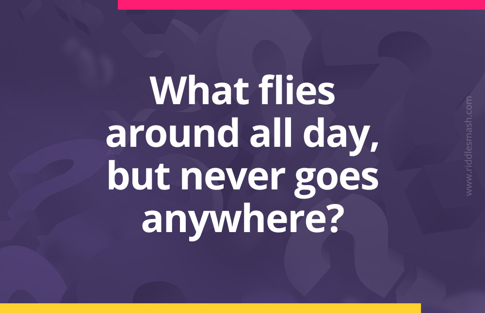 What flies around all day, but never goes anywhere?