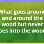 What goes around and around the wood but never goes into the wood?