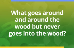 What goes around and around the wood but never goes into the wood?