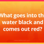 What goes in the water black and comes out red?