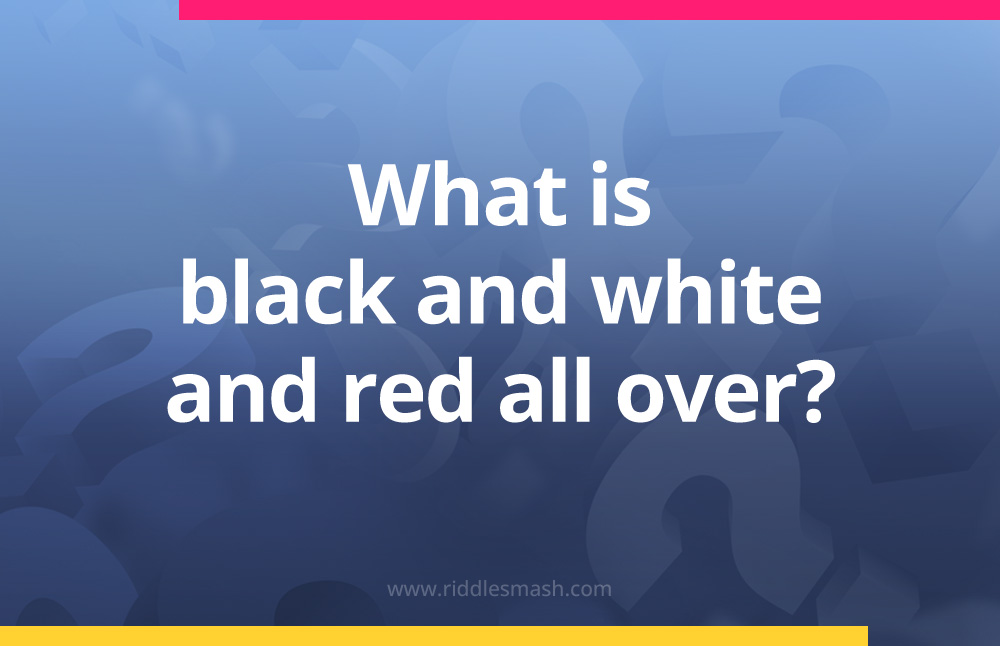 What is black and white and red all over?