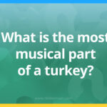 what is the most musical part of a turkey​?