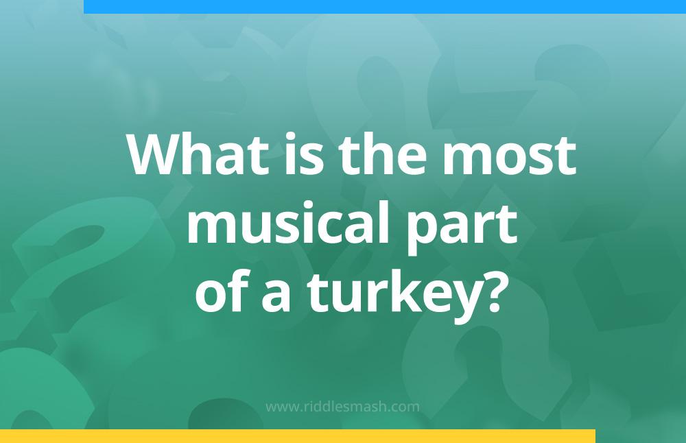 what is the most musical part of a turkey​?