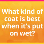 What kind of coat is best when it's put on wet?