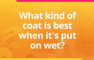 What kind of coat is best when it's put on wet?