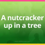 A nutcracker up in a tree.