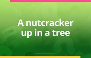 A nutcracker up in a tree.