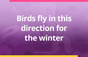 Birds fly in this direction for the winter.