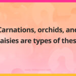 Carnations, orchids, and daisies are types of these