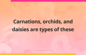 Carnations, orchids, and daisies are types of these