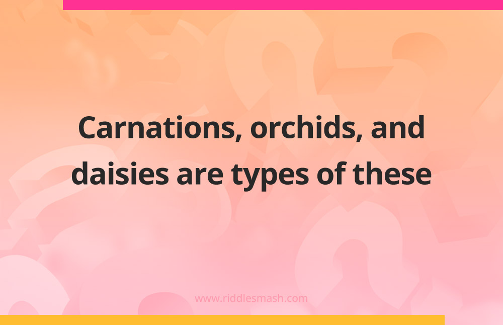 Carnations, orchids, and daisies are types of these