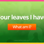 Four leaves I have. What am I?