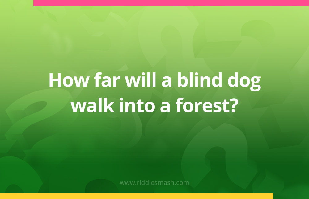 How far will a blind dog walk into a forest?