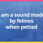 I am a sound made by felines when petted.