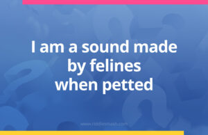 I am a sound made by felines when petted.