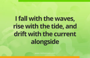 I fall with the waves, rise with the tide, and drift with the current alongside.