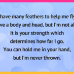 I have many feathers to help me fly. I have a body and head, but I’m not alive. It is your strength which determines how far I go. You can hold me in your hand, but I’m never thrown.
