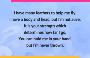I have many feathers to help me fly. I have a body and head, but I’m not alive. It is your strength which determines how far I go. You can hold me in your hand, but I’m never thrown.