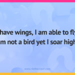 I have wings, I am able to fly, I’m not a bird yet I soar high.