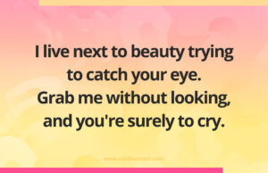 I live next to beauty trying to catch your eye. Grab me without looking, and you're surely to cry.