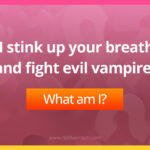 I stink up your breath and fight evil vampires​.