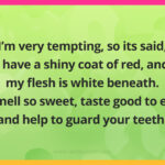 I'm very tempting, so its said, I have a shiny coat of red, and my flesh is white beneath. I smell so sweet, taste good to eat, and help to guard your teeth.