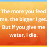 The more you feed me, the bigger I get. But if you give me water, I die.