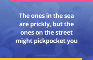 The ones in the sea are prickly, but the ones on the street might pickpocket you.