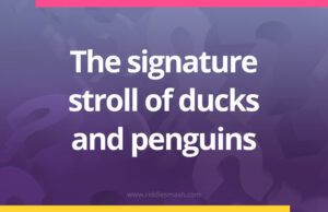 The signature stroll of ducks and penguins.