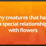 Tiny creatures that have a special relationship with flowers.