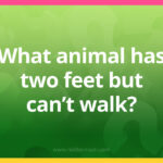 What animal has two feet but can't walk​?