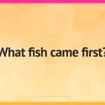 What fish came first?