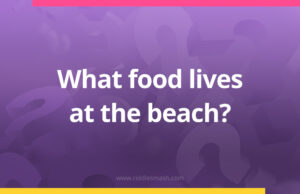 What food lives at the beach?