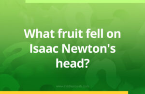 What fruit fell on Isaac Newton's head​?