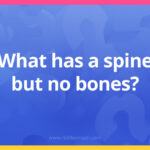What has a spine but no bones?